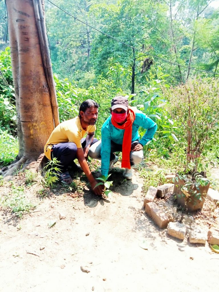 झारखंड प्रदेश मुख्य समाज ने किया पौधरोपण